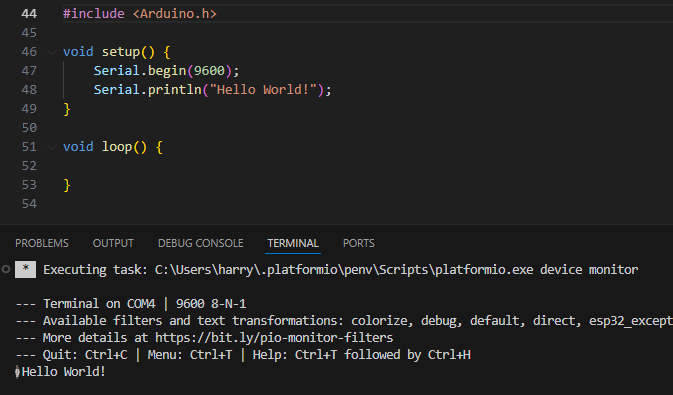 Code and terminal showing hello world program