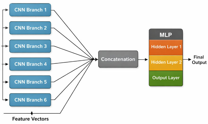 A diagram showing a branched CNN architecture
